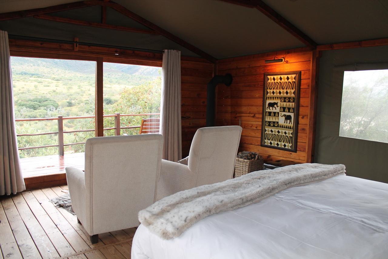 Addo Elephant Lodge & Safaris Kirkwood Bagian luar foto