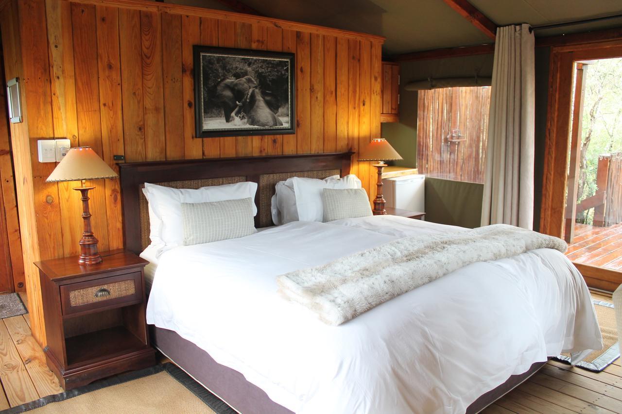 Addo Elephant Lodge & Safaris Kirkwood Bagian luar foto