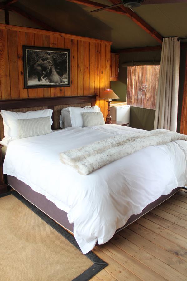 Addo Elephant Lodge & Safaris Kirkwood Ruang foto