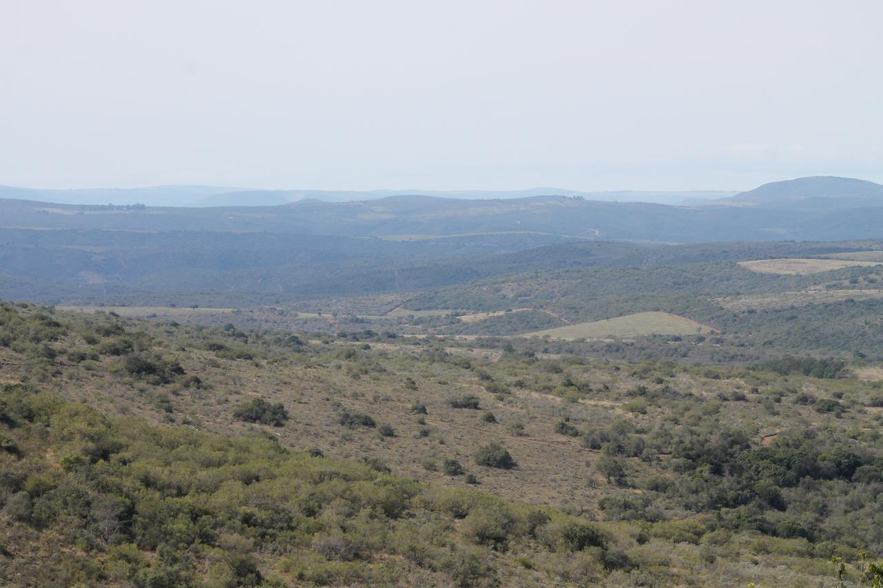Addo Elephant Lodge & Safaris Kirkwood Bagian luar foto