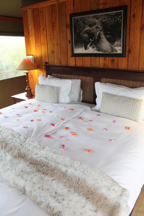 Addo Elephant Lodge & Safaris Kirkwood Bagian luar foto