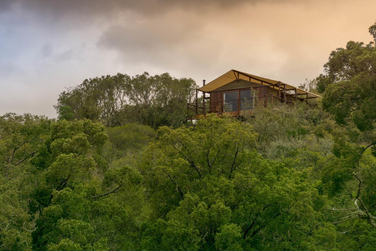 Addo Elephant Lodge & Safaris Kirkwood Bagian luar foto