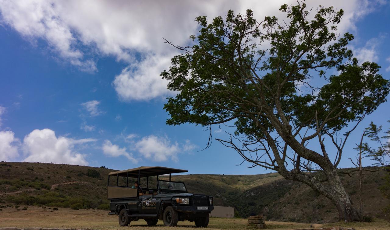 Addo Elephant Lodge & Safaris Kirkwood Bagian luar foto