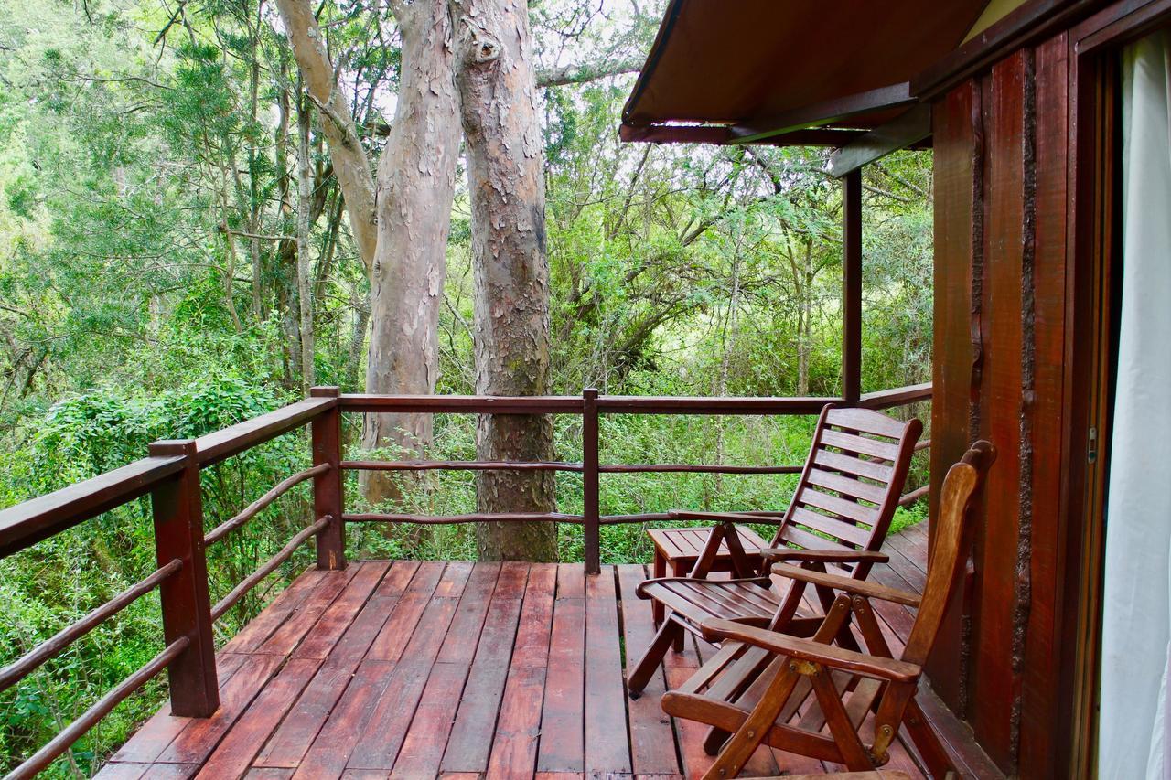 Addo Elephant Lodge & Safaris Kirkwood Bagian luar foto