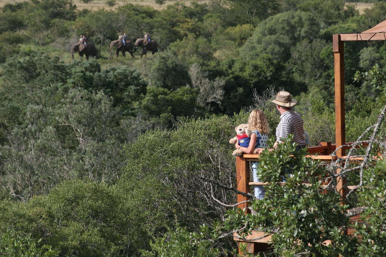 Addo Elephant Lodge & Safaris Kirkwood Bagian luar foto