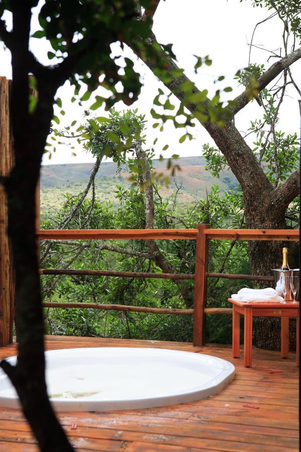 Addo Elephant Lodge & Safaris Kirkwood Bagian luar foto